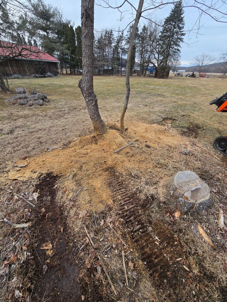 All Photos for Down Home Landscaping in Stillwater, PA