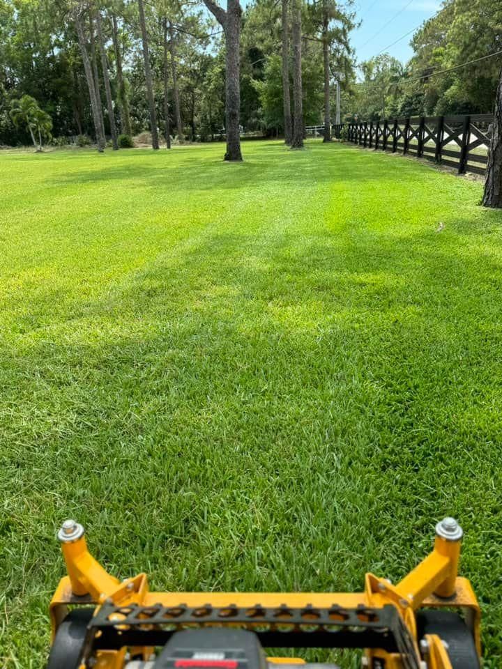 Tree Trimming and Removal for Rey Landscaping & Lawn service LLC in West Palm Beach,  FL