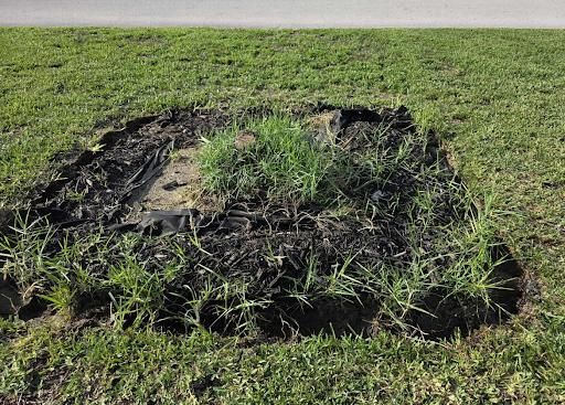 All Photos for KB’s Stump Removal in Seminole, FL