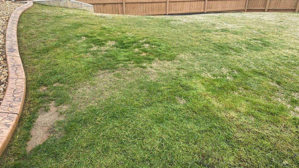 All Photos for New Beginning Landscape & Remodel LLC in Atlanta, GA