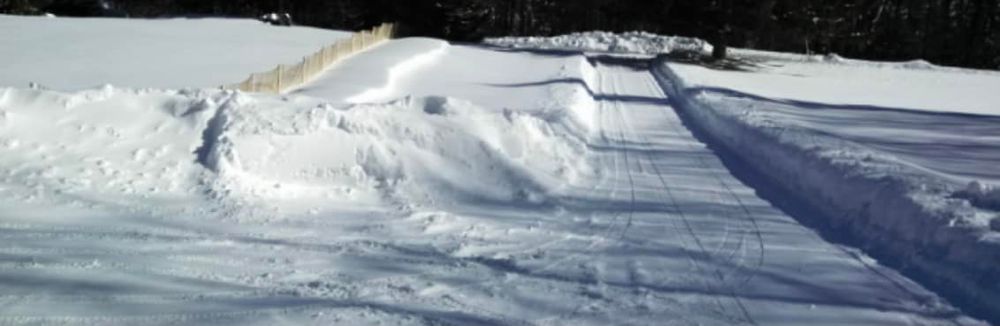 Ensure a hassle-free winter with our reliable snow plowing service, keeping your driveway and walkways clear and safe. Trust us to handle heavy snowfall efficiently, allowing you more peace of mind. for Wurm Lawn and Landscape in Maple Lake, MN