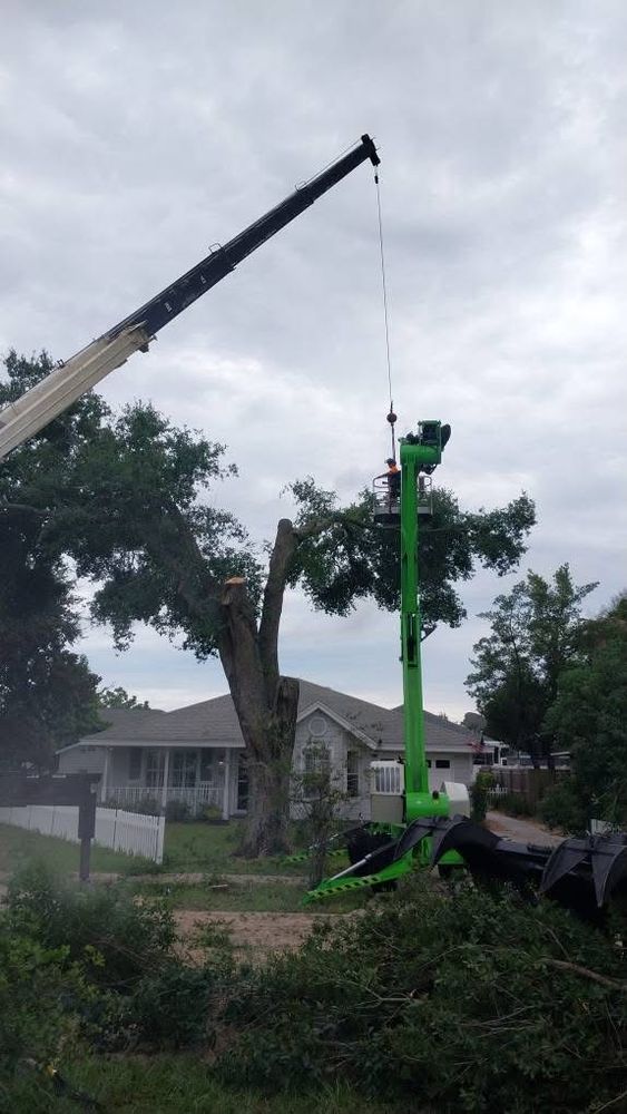All Photos for Daniel Hickey’s Tree Service in DeLand, FL