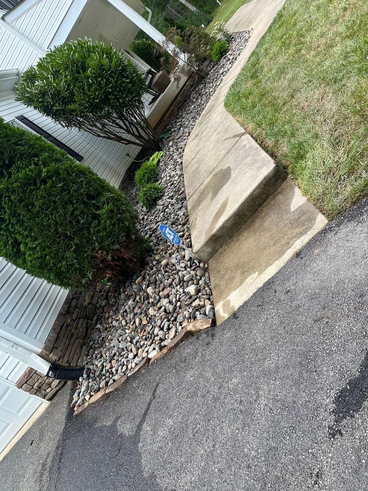 All Photos for Branch Out Tree Care LLC in Fredericksburg, VA