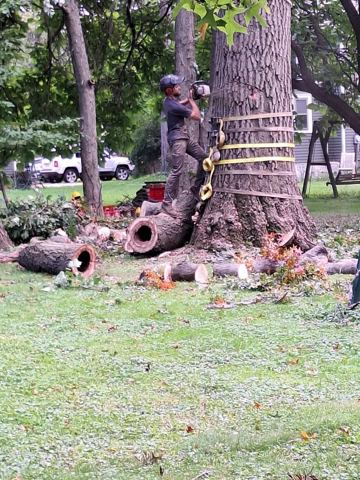 All Photos for Highborn Tree Service in Wheatfield, IN