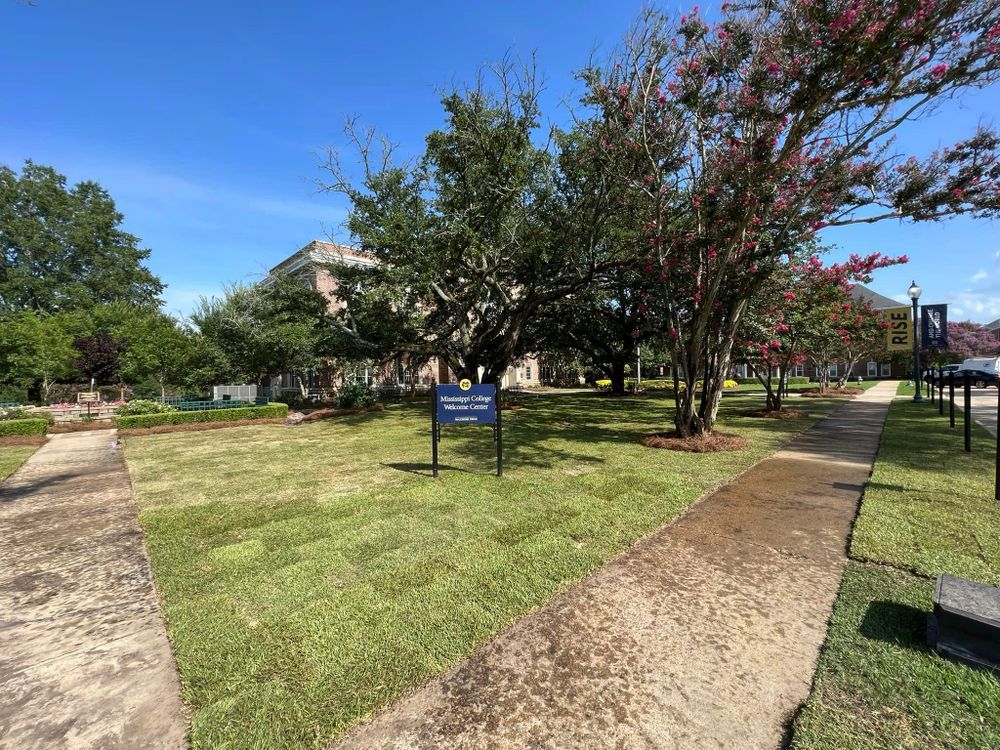 Landscaping for Amis Lawn and Landscape, LLC in Clinton, MS