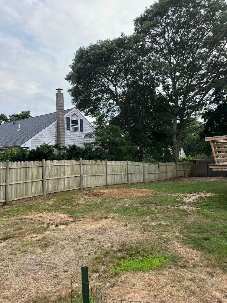All Photos for Native Roots Tree Service in Falmouth, MA