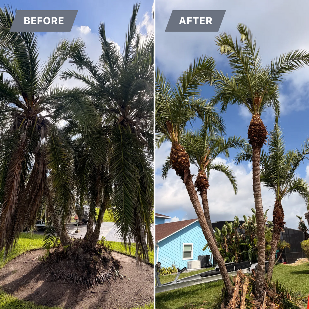 All Photos for Vanic's Landscaping in Port Orange, FL