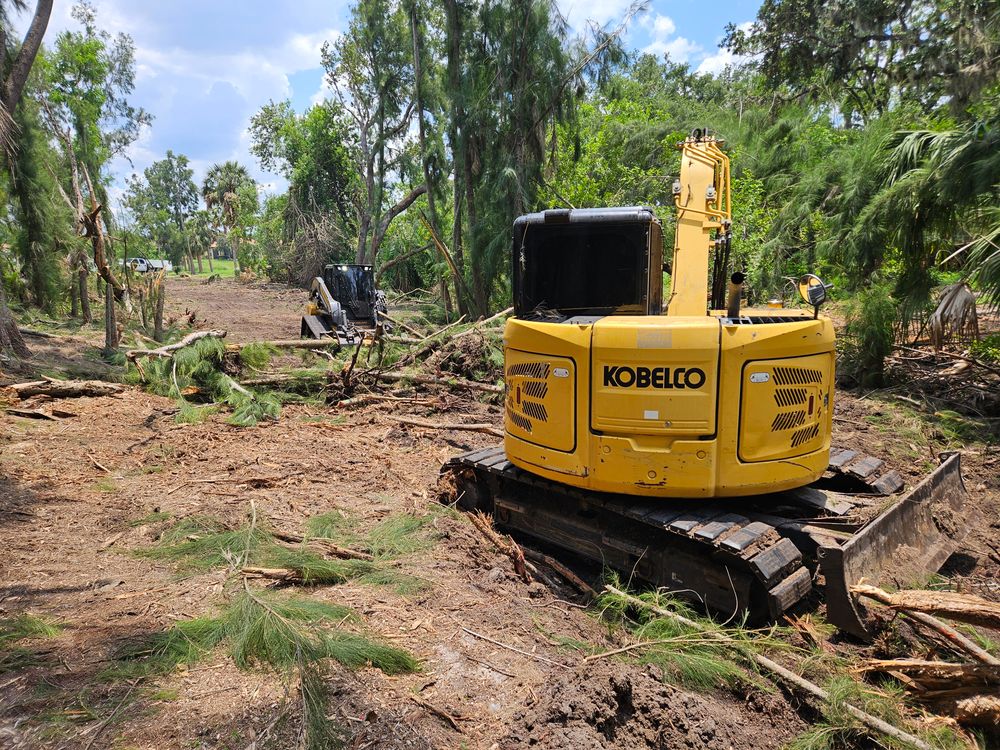 All Photos for Bay Area Bobcat in Riverview, FL