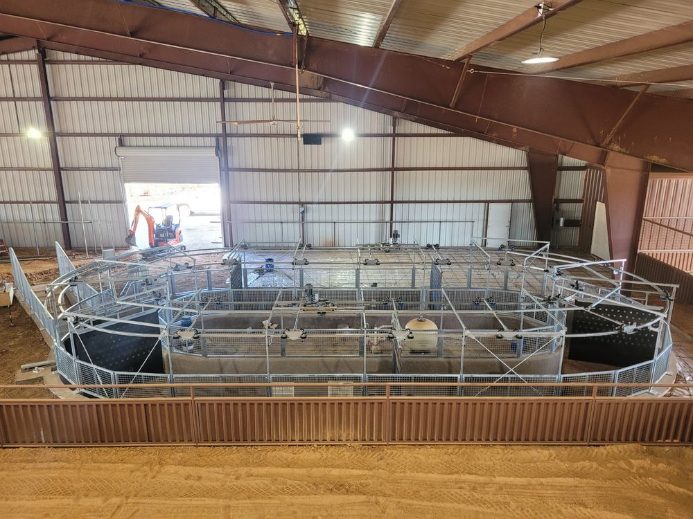 Custom Ground Horse Walker for Black Diamond Custom Pools LLC in Azle, TX