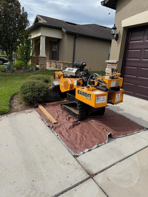 All Photos for Greene Acres Stump Grinding in Plant City, FL