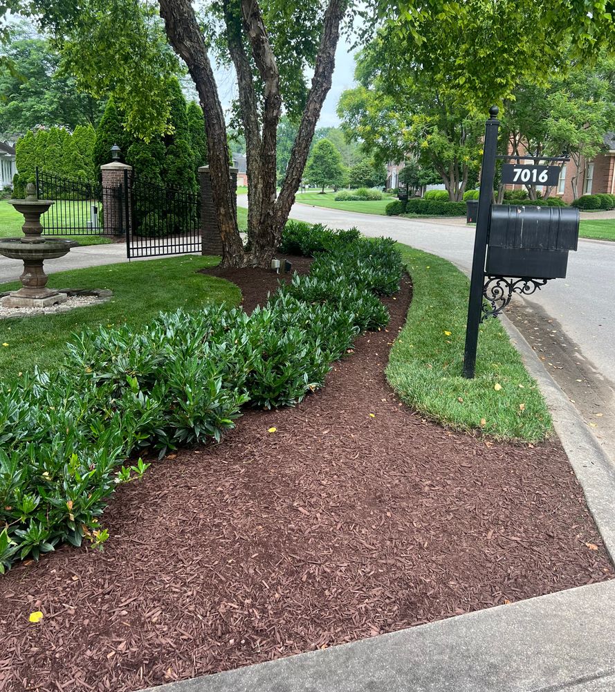 All Photos for Full Service Landscaping in Louisville, KY