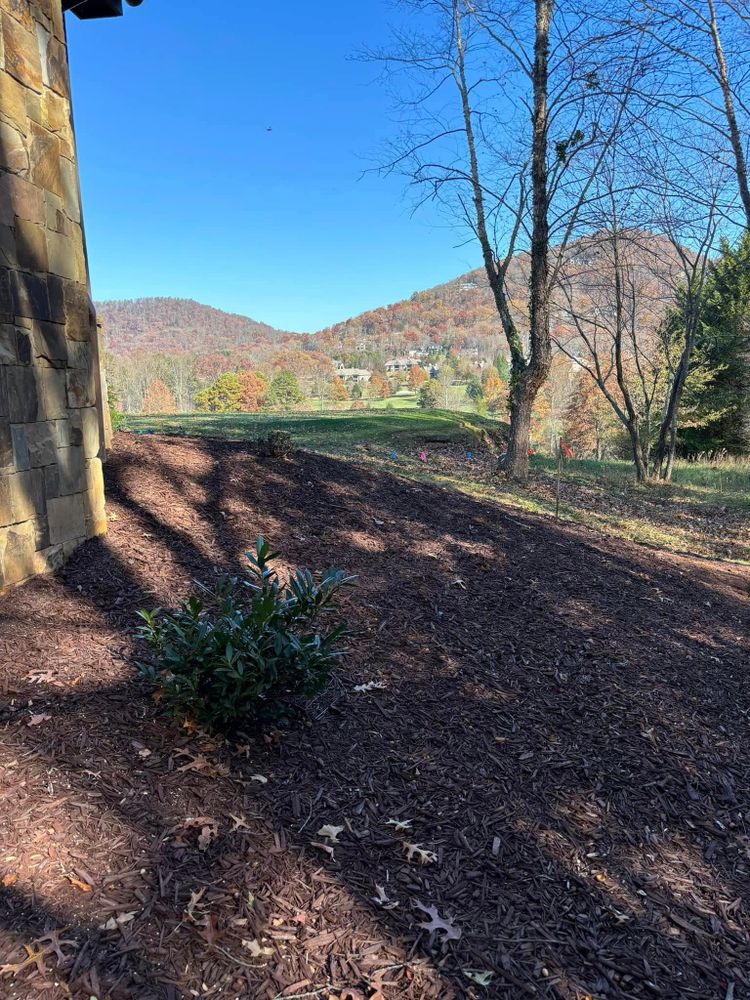 Our Stump Removal service efficiently eliminates unsightly stumps, enhancing your landscape’s appearance and safety. Using advanced equipment, we ensure complete removal and site cleanup, readying your yard for future projects. for Andy's Tree Service in Zirconia, NC