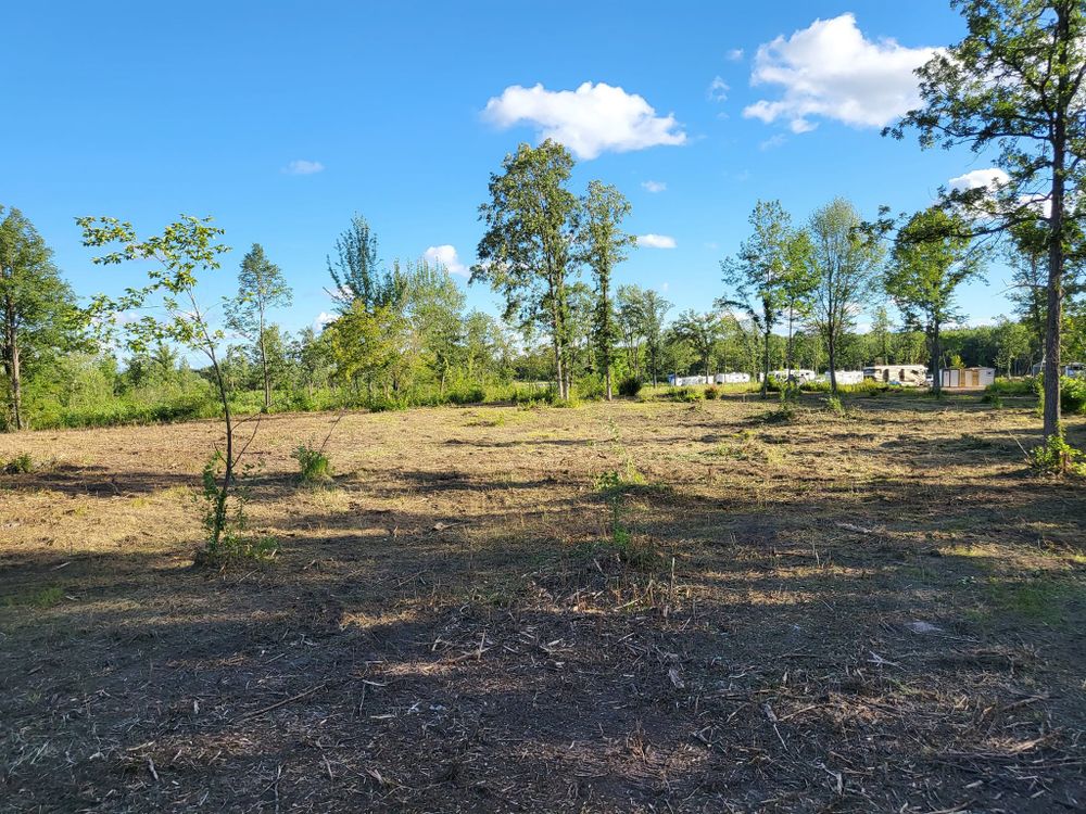 All Photos for Central Minnesota Brush Control and Landscaping in Brook Park, MN