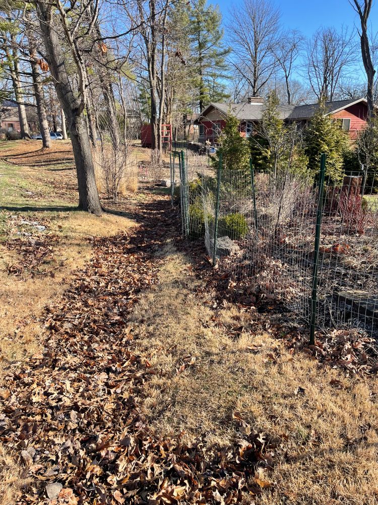 All Photos for MDR Landscaping in Urbana, IL