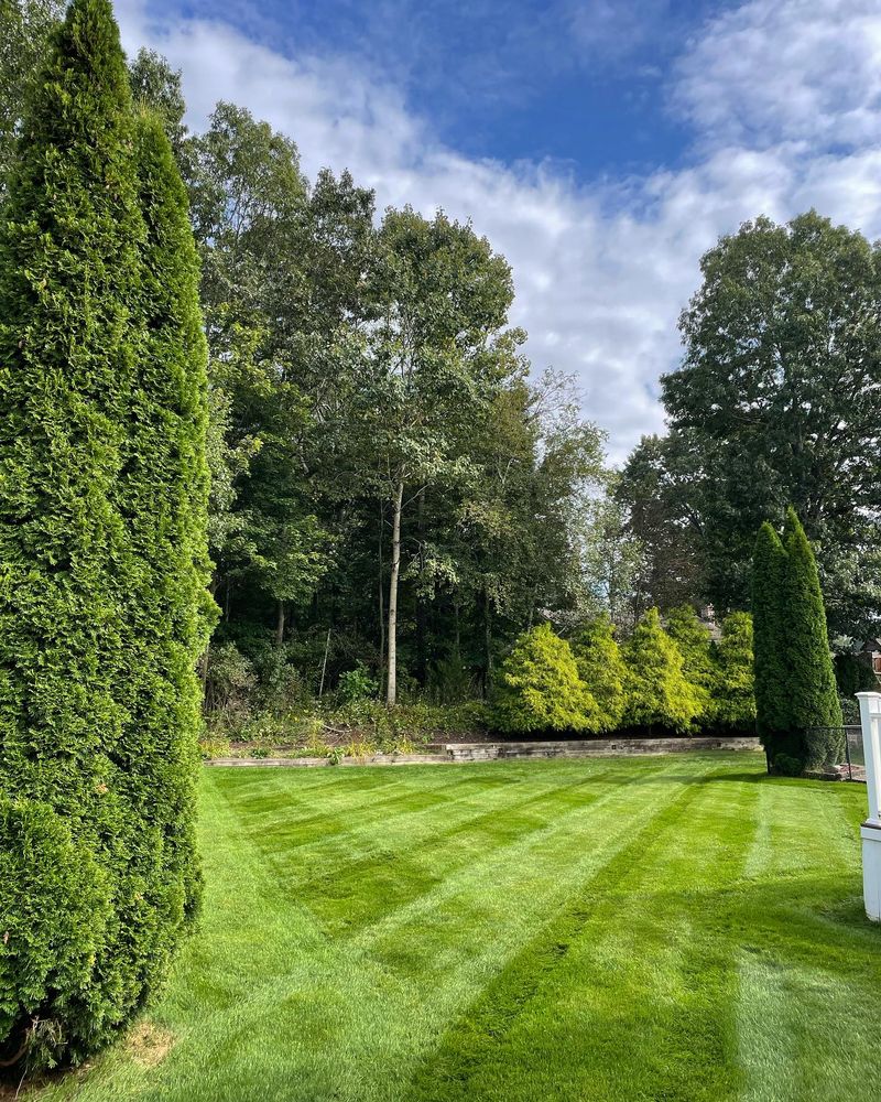 Enhance your property's curb appeal with our expert shrub trimming service. We ensure precise cuts, healthy growth, and a polished look for your landscape, boosting both beauty and property value effortlessly. for Blades of Glory LLC in Cheshire, CT