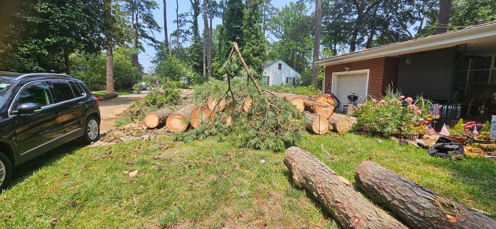 All Photos for Beach Tree Care in Virginia Beach, VA