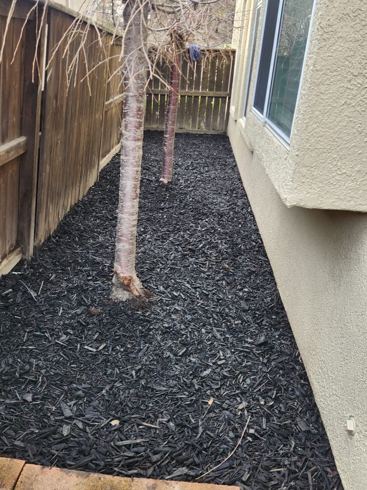 Hardscaping for Vargas LANSCAPE LLC in Stockton, CA