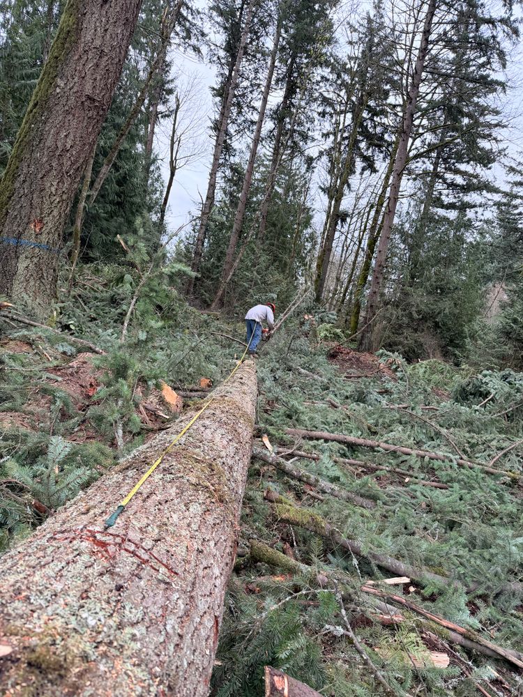 All Photos for DCX LLC in Gresham, OR