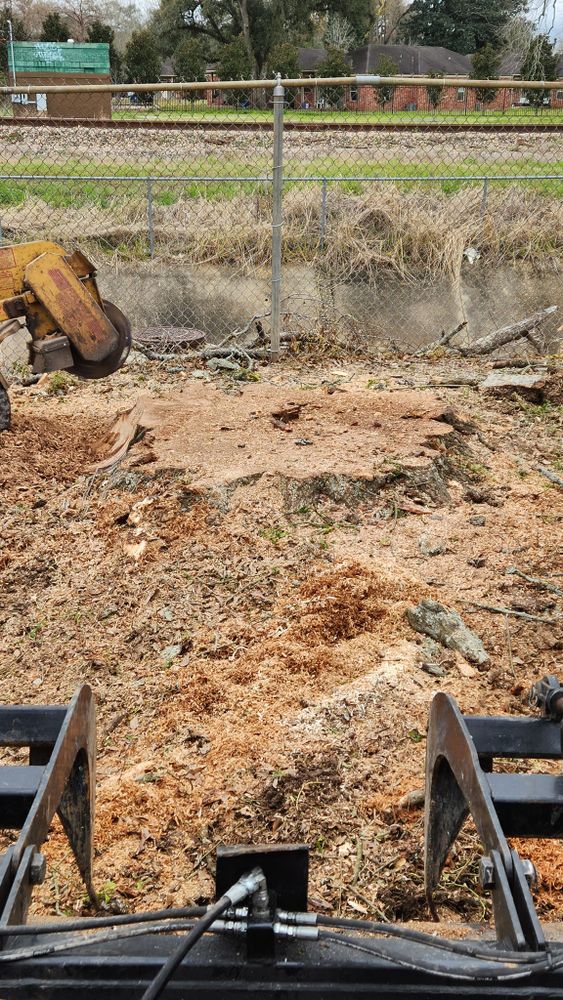 We offer professional stump removal services to eliminate unsightly stumps from your property, enhancing the aesthetics of your landscape and allowing for new growth or landscaping opportunities. for Ken's Elite Cutters LLC  in Breaux Bridge, LA