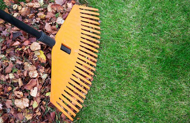 Our Fall Clean Up service ensures your landscaping is ready for the winter season by removing leaves, debris, and preparing plants for the colder months ahead. Let us help you maintain a beautiful outdoor space. for Cutting Edge Lawn Care in Fayetteville, NC