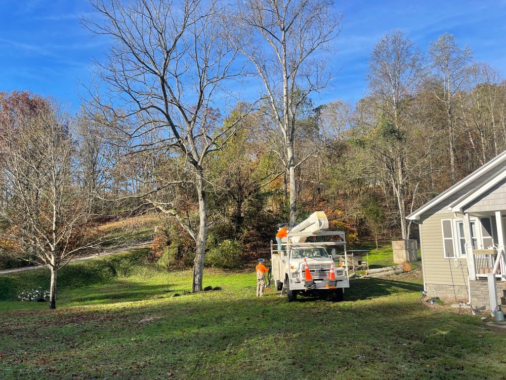 All Photos for Lucky’s Tree Removal and Landscape Services in Knoxville, TN