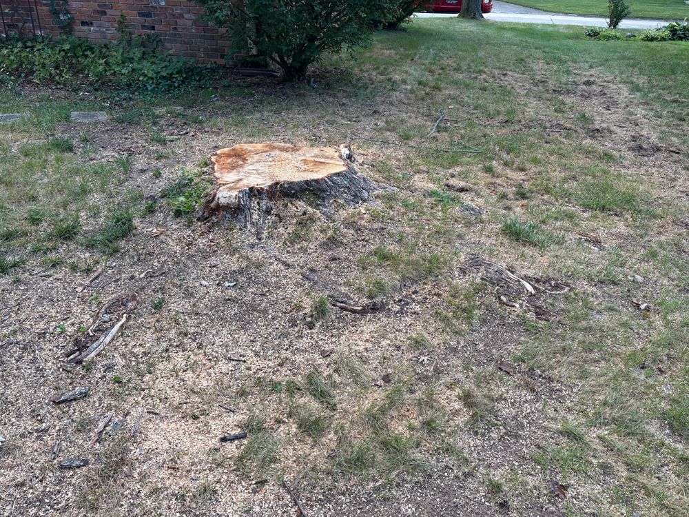 All Photos for Conrad's Stump Removal in Columbus, IN