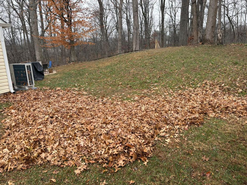 All Photos for Walsh Lawn And Landscape in Olney, MD