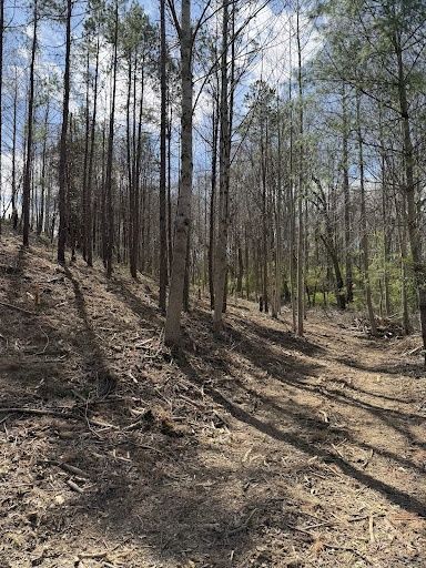 All Photos for JV Hardscape & Construction Inc in Hendersonville, NC