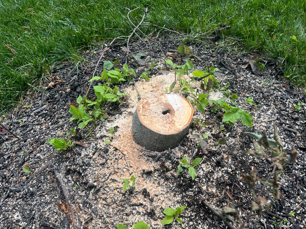 All Photos for Mark’s Mowing & Landscaping LLC  in Ashville, OH