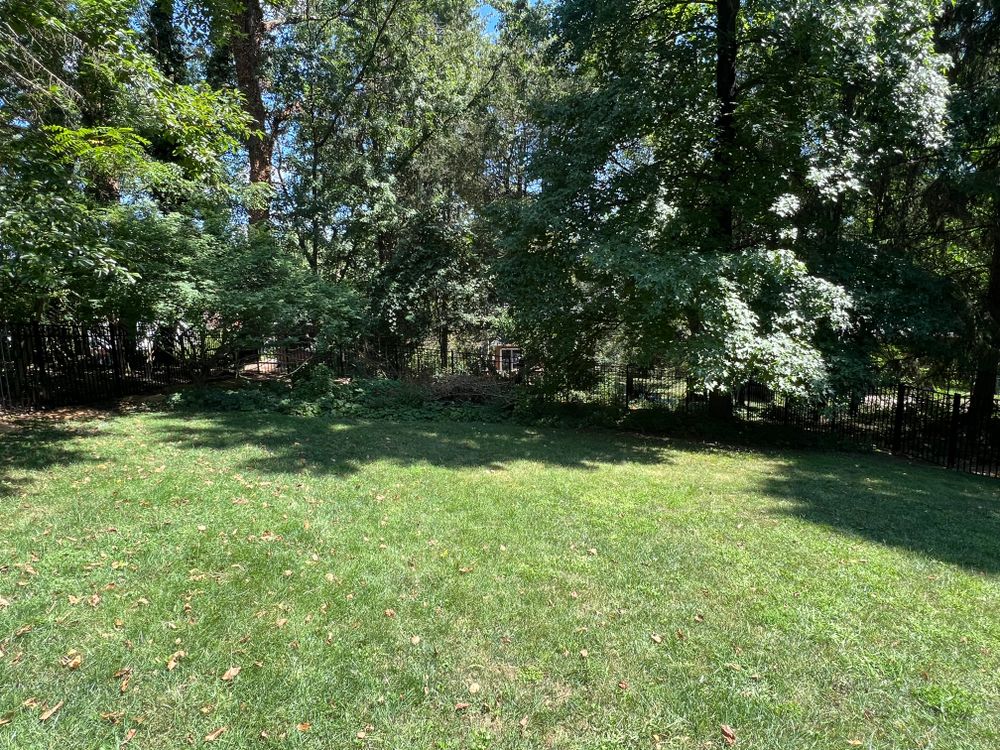 All Photos for Fratelli Contracting & More in Pittsburgh, PA