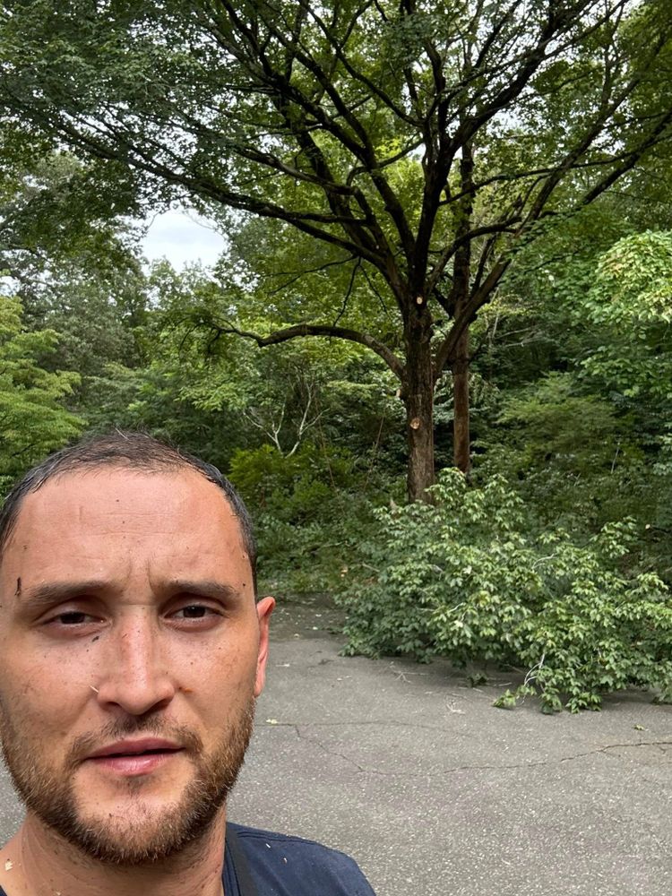 Tree Services for Total Tree Care in Erwin, North Carolina