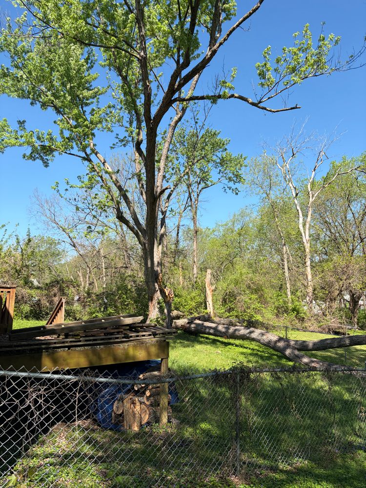 All Photos for Cross Family Tree Service in Kearney, MO