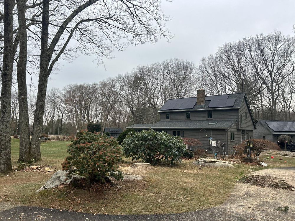 All Photos for DC TREE in Vernon, CT