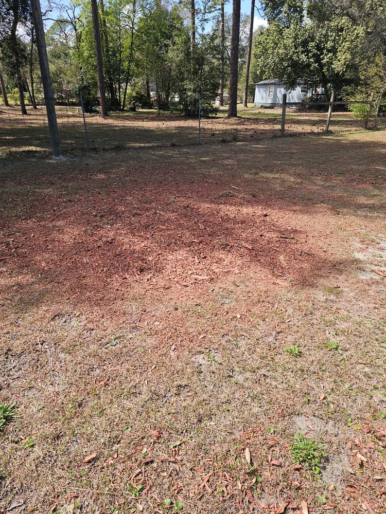 Stump Grinding for Stumps done right LLC in Middleburg, FL