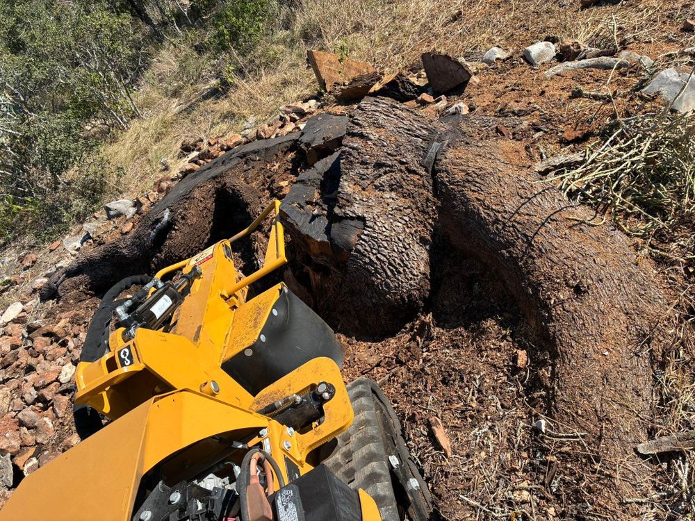 Our Fall Clean Up service is designed to help homeowners prepare their lawns for the upcoming winter season by removing leaves, debris, trimming plants, mulching beds, cutting back perennials. for C & C Lawn Care and Maintenance in New Braunfels, TX