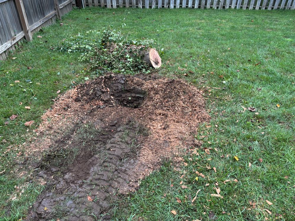 All Photos for Conrad's Stump Removal in Columbus, IN