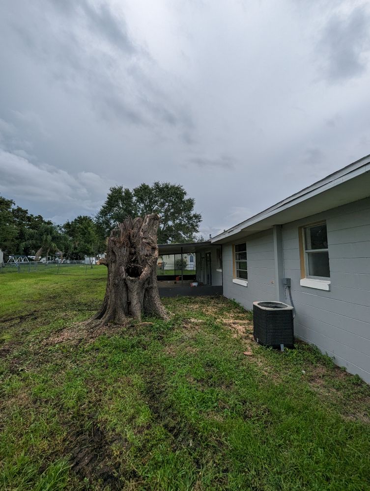 All Photos for Regal Tree Service and Stump Grinding in Wauchula, FL