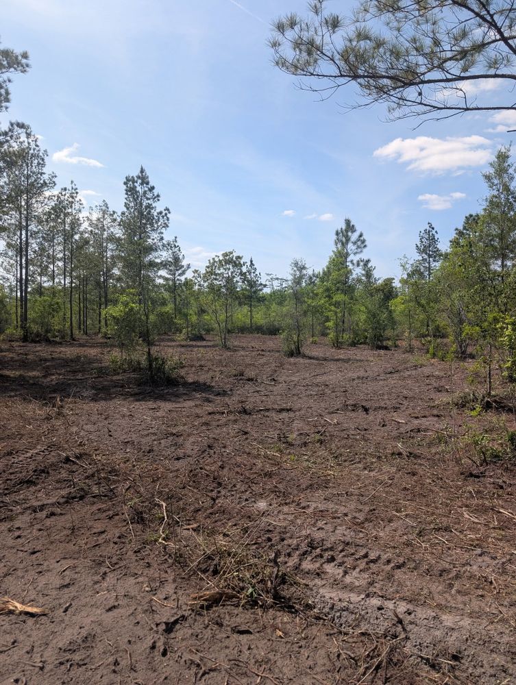 All Photos for TDWS Land Management in Blackshear, GA