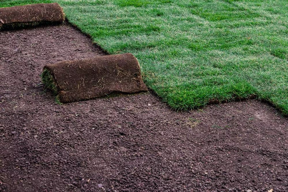 Transform your lawn with our "sod wow" service, featuring premium sod that ensures a lush, healthy landscape quickly. Enjoy instant curb appeal and a vibrant outdoor space for relaxation and entertainment. for Joe’s Landscape And Design LLC in Egg Harbor Township, NJ