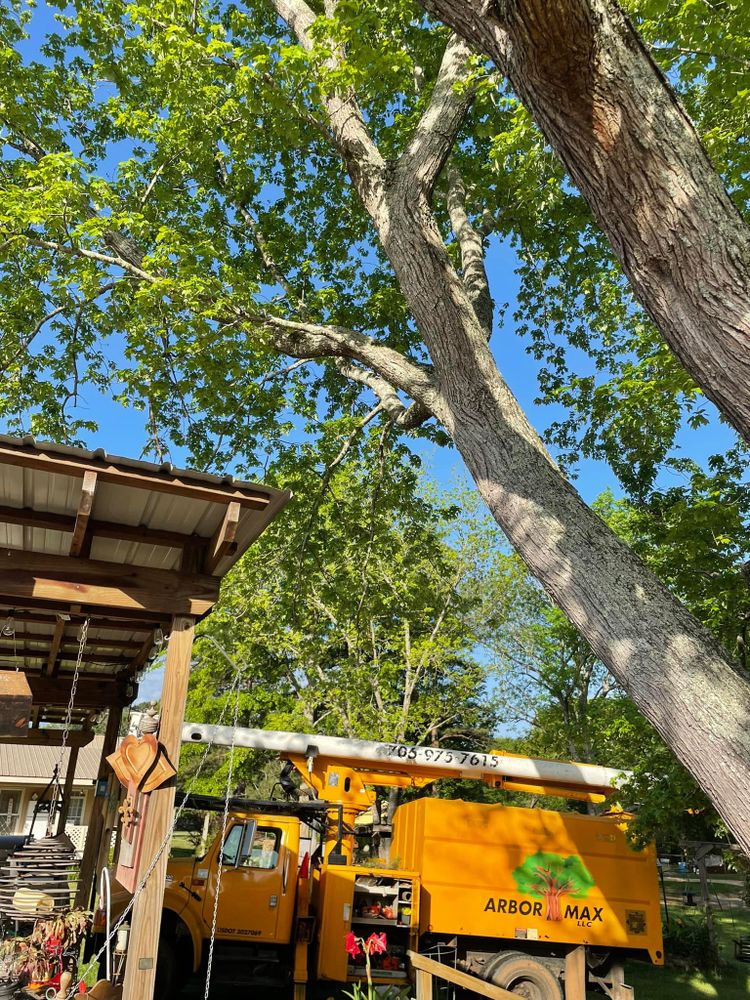 All Photos for ArborMax in Thomaston, GA