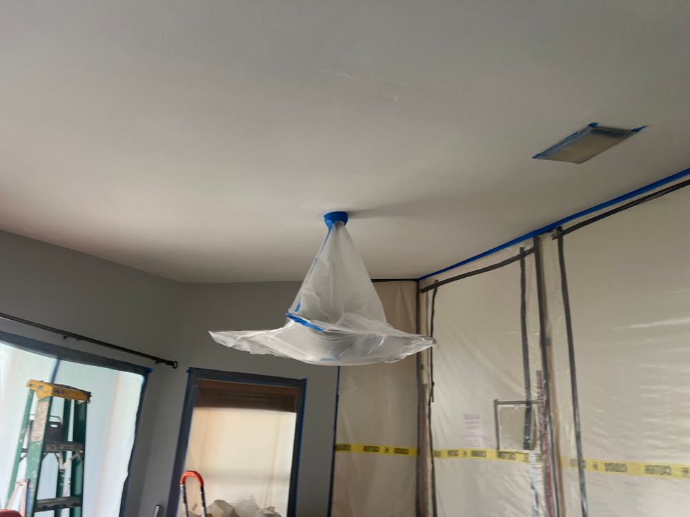 Mold Remediation for N&D Restoration Services When Disaster Attacks, We Come In in Cape Coral,  FL