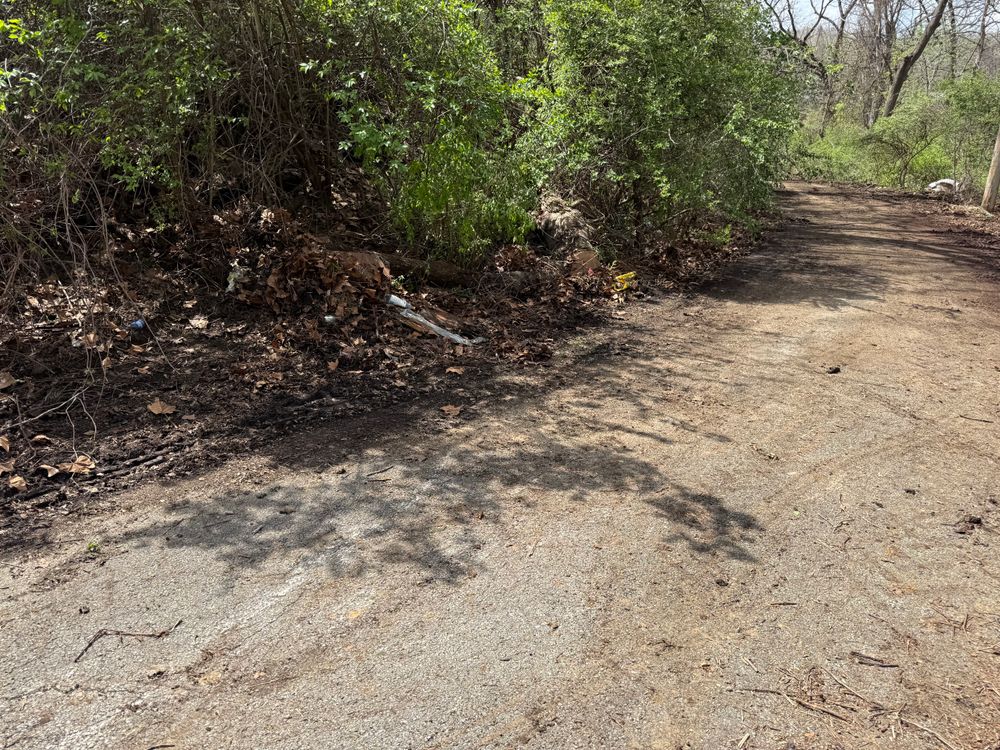 All Photos for A1 Bush Hogging & Lawn Service in London, OH