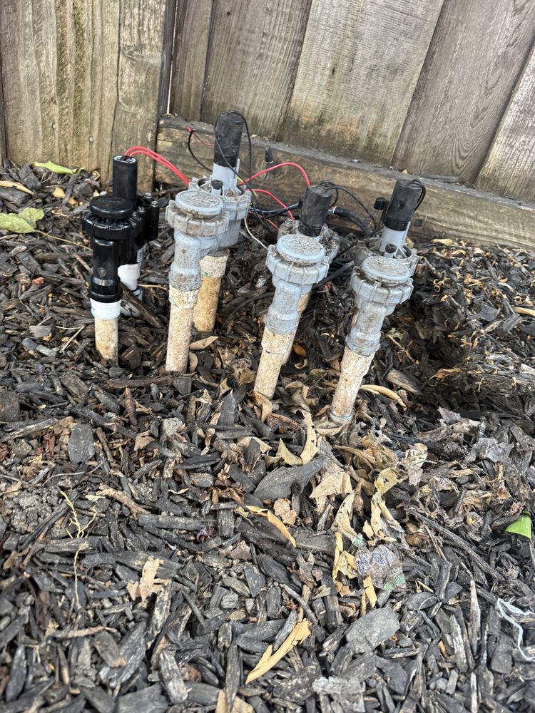 All Photos for CBA Landscaping in Hayward, CA