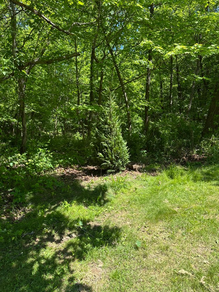 All Photos for Cuellar Lawn Care in Highland , NY 