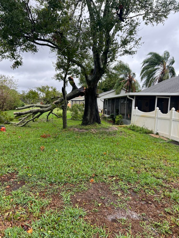 All Photos for Space Coast Property Maintenance and Management LLC in Melbourne, FL