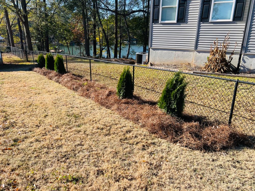 All Photos for LC Lawn Care & Landscaping in Canon, GA