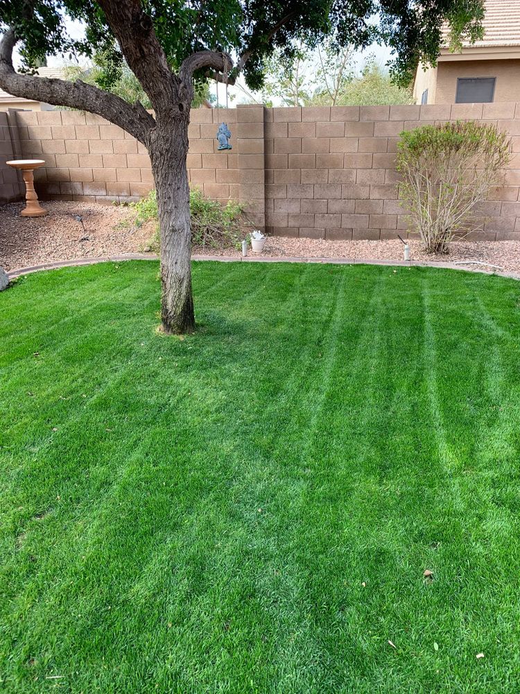 Sunrise Landscape team in Maricopa, AZ - people or person