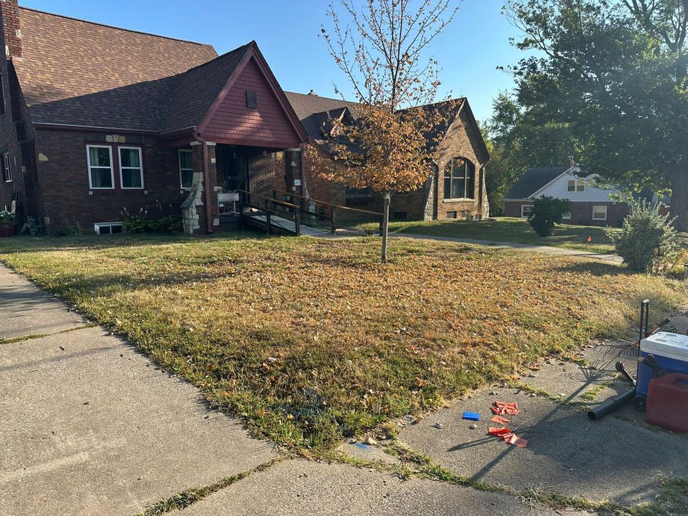 Tree Removal for Greenlee & Family Landscaping Services in Peoria, IL