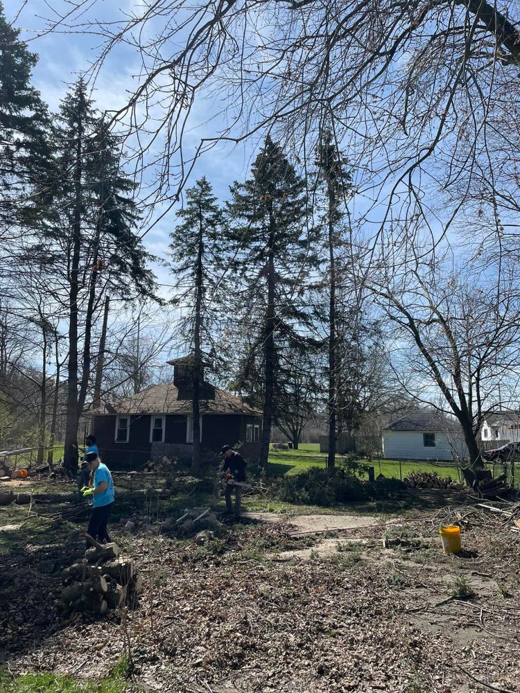 Tree Removal for General State Property Maintenance in New Haven, IN