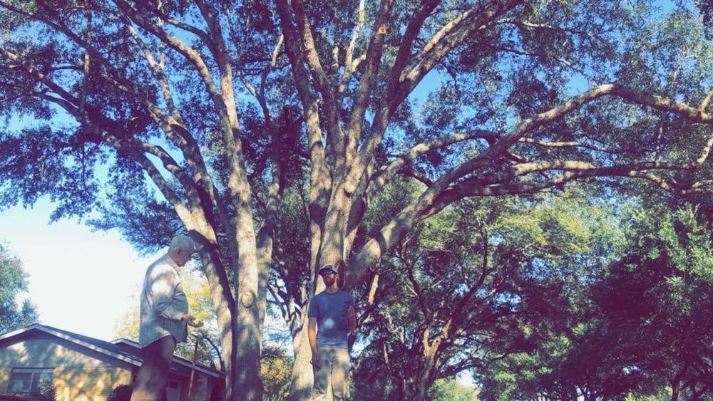 All Photos for Braun Tree Service in Floresville, Texas